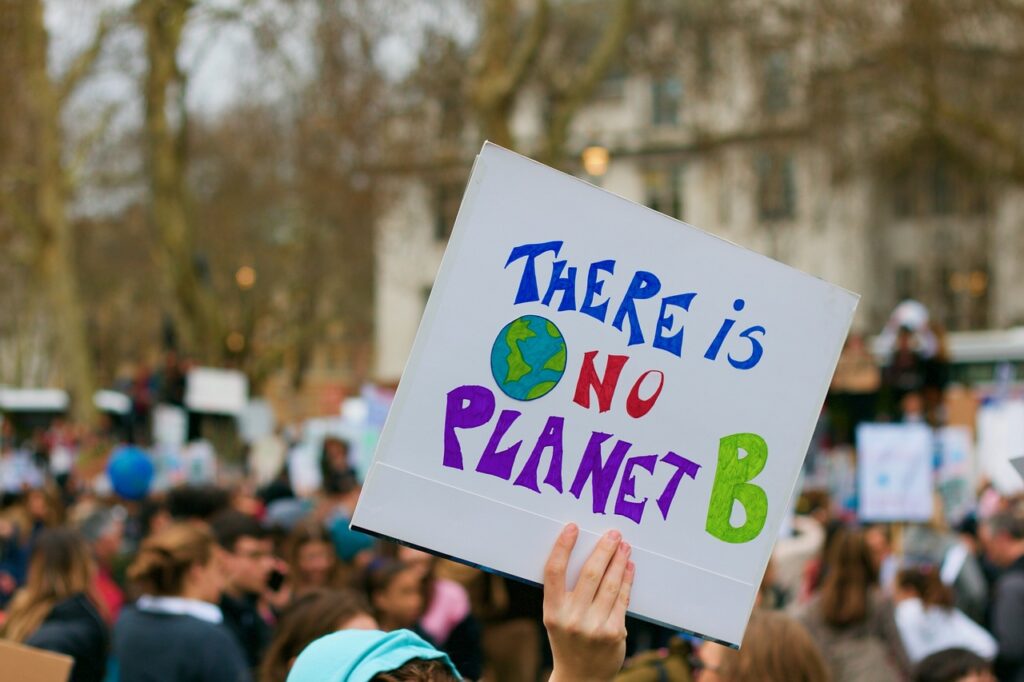 Protest sign: There is No Planet B. Image by Kevin Snyman from Pixabay